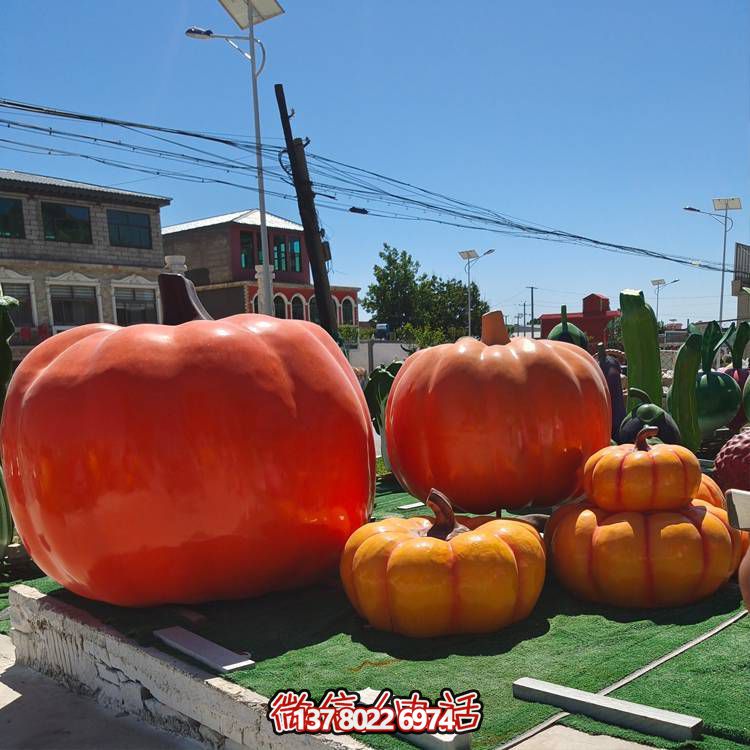 美麗鄉村，收獲美食——南瓜種植示范農場