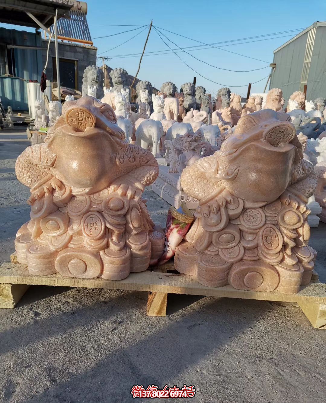 水池里擺放的兩只花崗巖石雕創(chuàng)意金蟾雕塑 水池里擺放的兩只花崗巖石雕創(chuàng)意金蟾雕塑