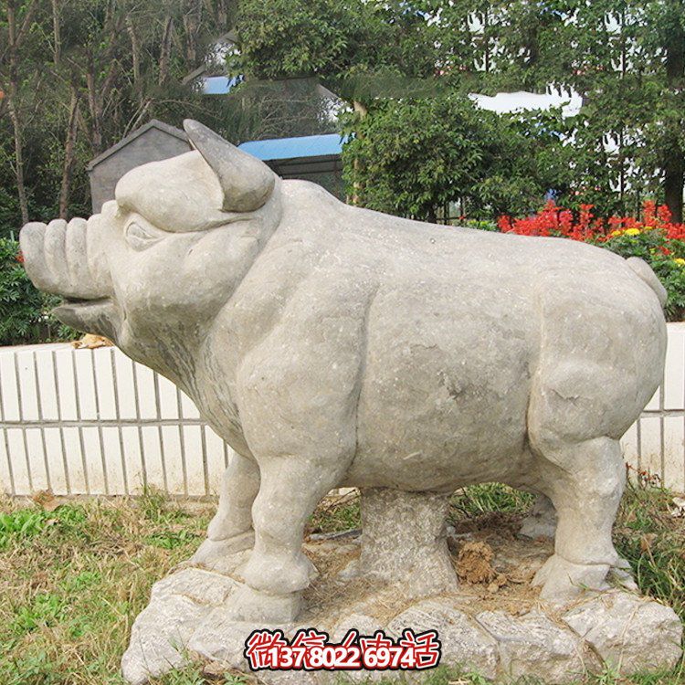 石雕豬，憨態(tài)可掬的大肥豬